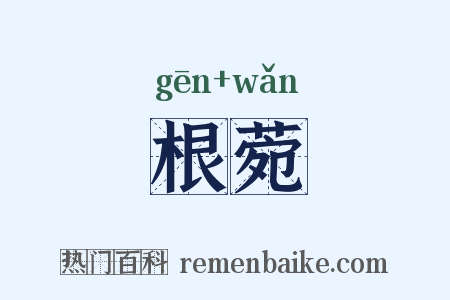 根菀是什么意思的图片